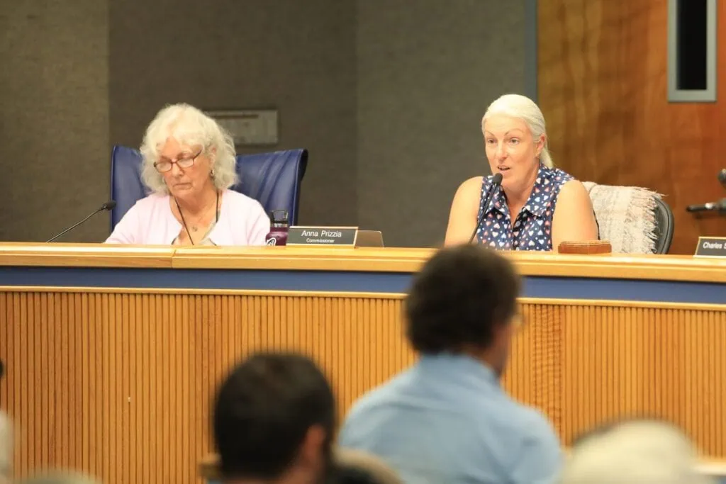 County Commissioner Anna Prizzia said the proposal balances environmental concern with the need for economic development.