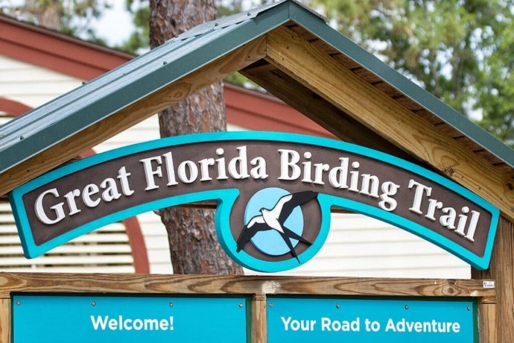 The Florida Fish and Wildlife Conservation Commission recently announced the launch of the newly redesigned Great Florida Birding and Wildlife Trail website. Courtesy of FWC