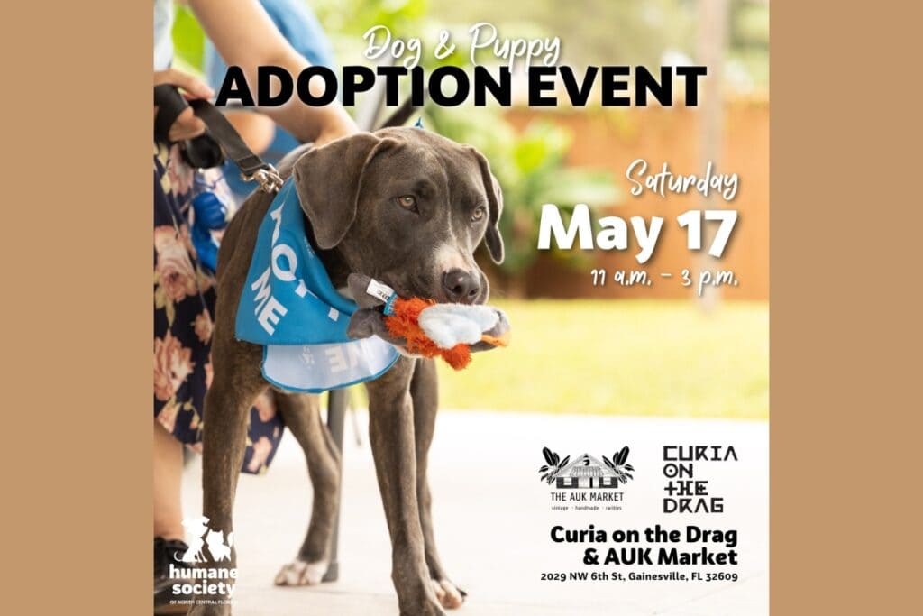 The Humane Society of North Central Florida is hosting a dog and puppy adoption event at Curia on the Drag and AUK Market on Saturday, May 17. Courtesy of HSNCF