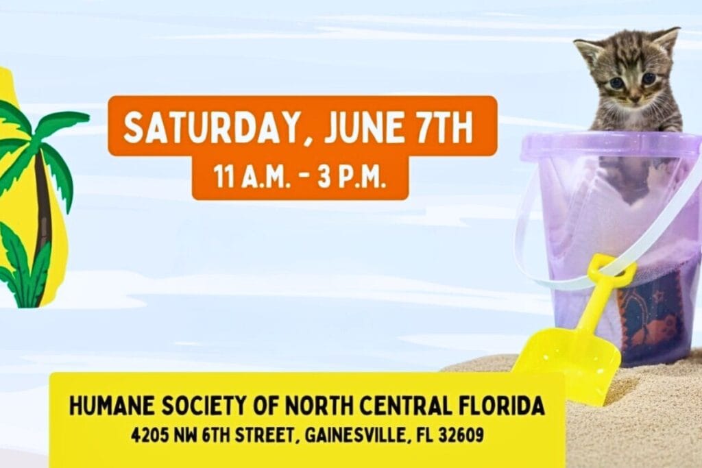 The Humane Society of North Central Florida will host the North Florida Pet Adoption Day on Saturday, June 7. Courtesy of HSNCF