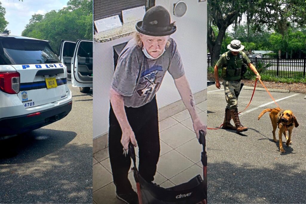 Law enforcement is using bloodhounds to assist in the search for a 74-year-old Gainesville man who went missing on Sunday afternoon. Courtesy of GPD