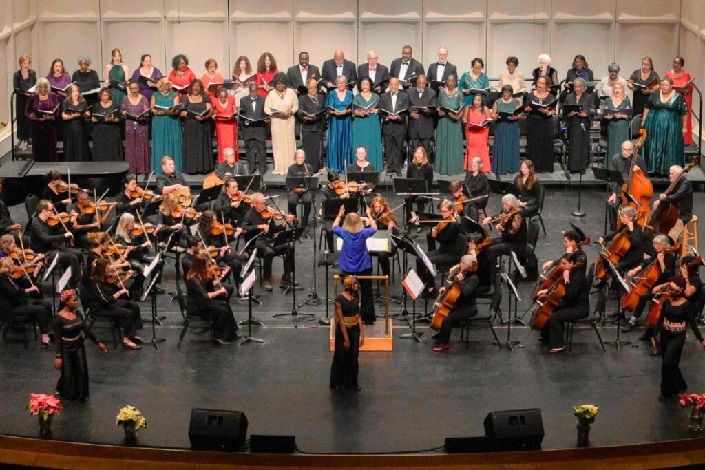 Annasemble Community Orchestra of Gainesville. Courtesy of ACO