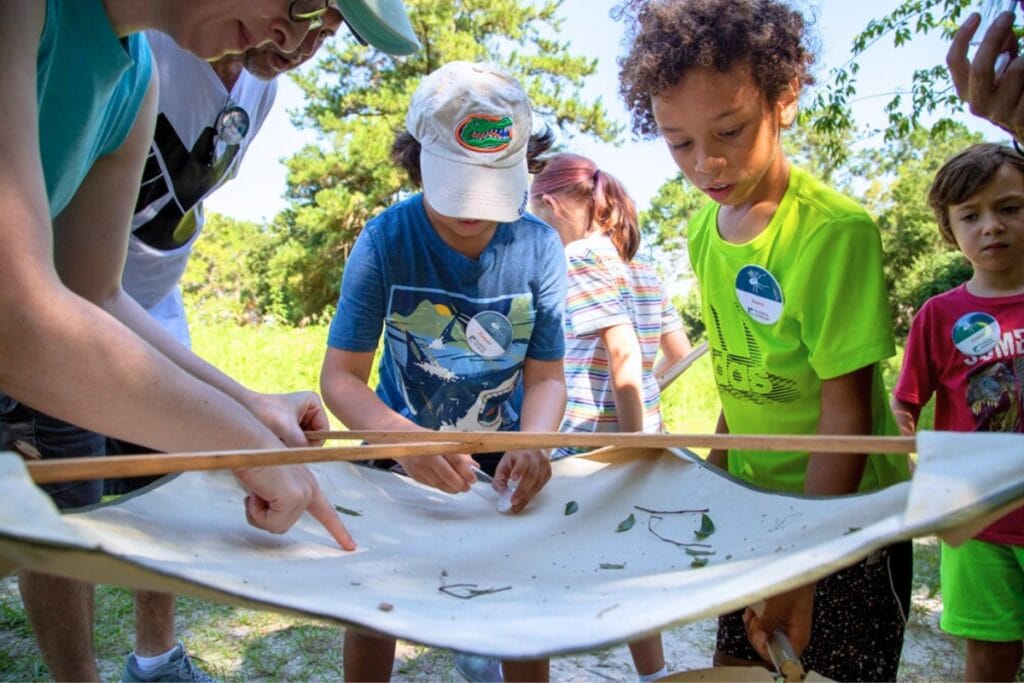 Children look for spiders caught in a net at a previous Family Discovery Camp. Photo by Jivana Wilhoit-Florida Museum