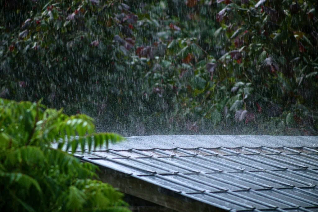 Rainfall.