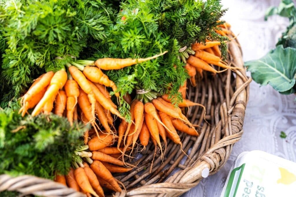 Alachua County recently announced it will partner with food system consultants New Venture Advisors to assemble a feasibility study for creating a local food hub. Courtesy of Alachua County