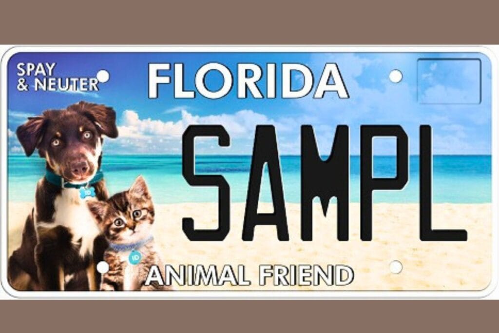 The Humane Society of North Central Florida, Shelter Medicine Program at UF and Fix Them All were among the 34 organizations that received fund for spay-neuter services.