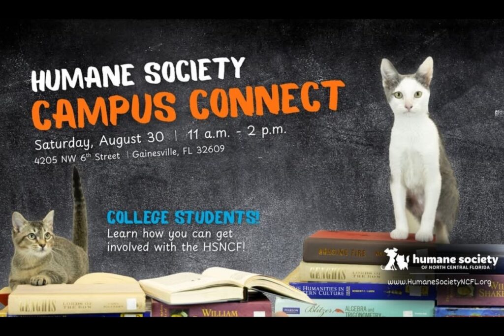 The Humane Society of North Central Florida will host its inaugural Campus Connect on Saturday. Courtesy of HSNCF