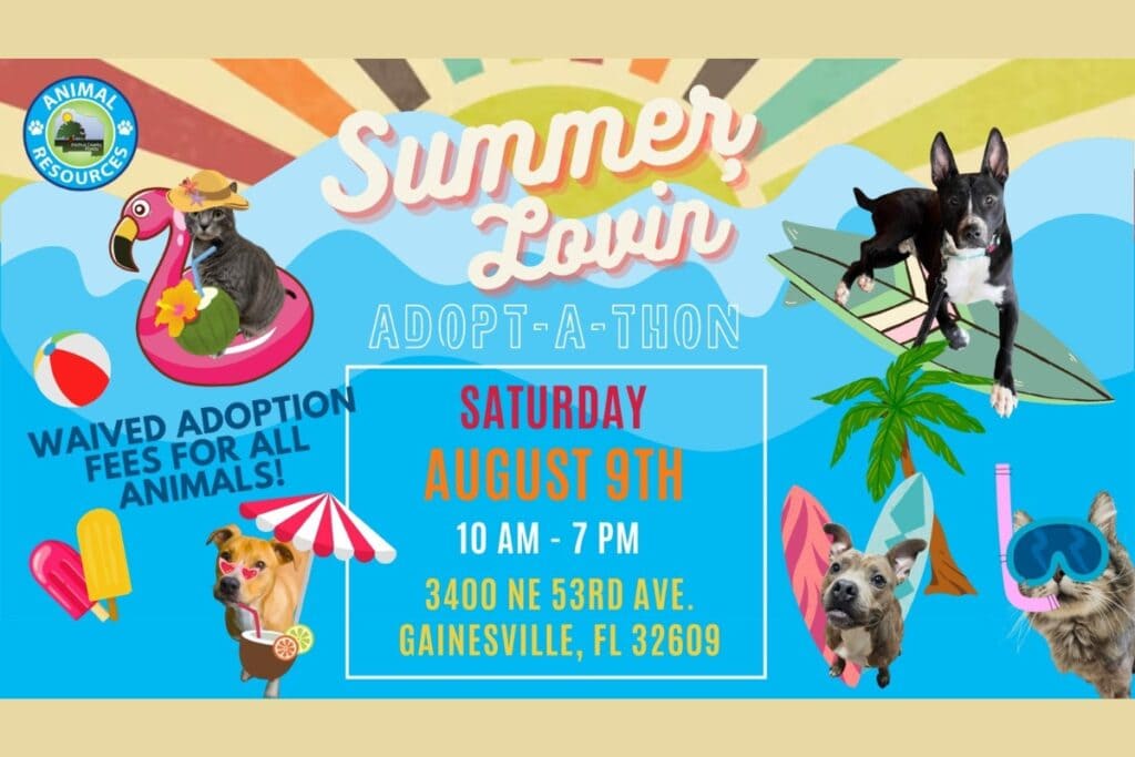 The Summer Lovin' Adopt-a-Thon will be held on Saturday at the Alachua County Animal Resources shelter. Courtesy of Alachua County