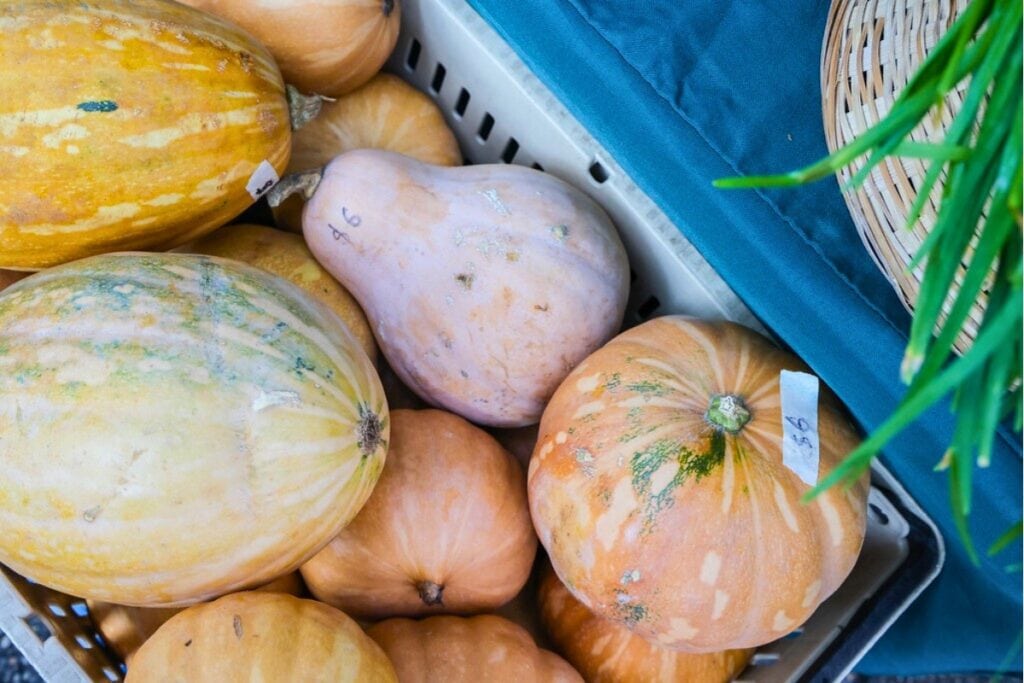 Alachua County seeks community Input on Farmers Markets. Courtesy of Alachua County
