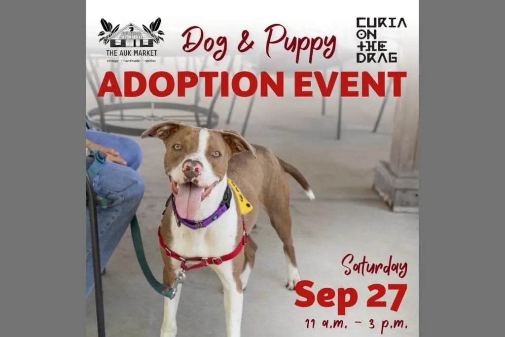 The Humane Society of North Central Florida will host a Dog & Puppy Adoption Event Saturday at Curia on the Drag and AUK Market in Gainesville. Courtesy of HSNCF