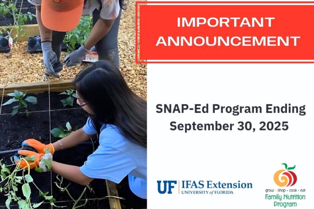 The UF-IFAS Extension Family Nutrition Program announced Tuesday that it will be ending, effective Sept. 30. Courtesy UF-IFAS