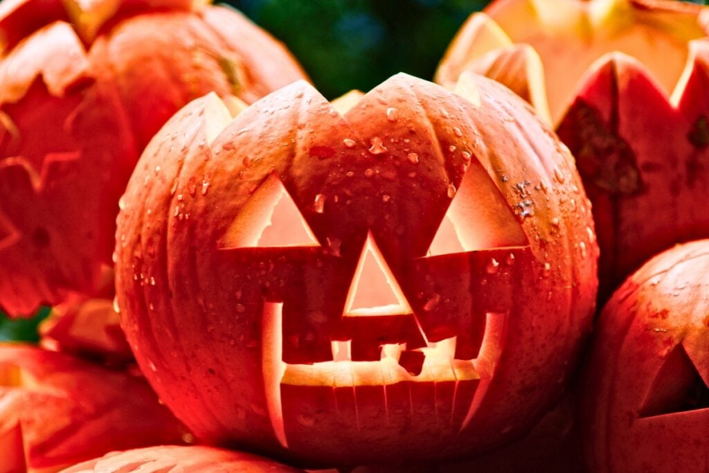 Celebrate the Halloween holiday all month long with these local events creeping around Alachua County for all ages. Photo by David Edkins-unsplash Pumpkin jack-o-lantern