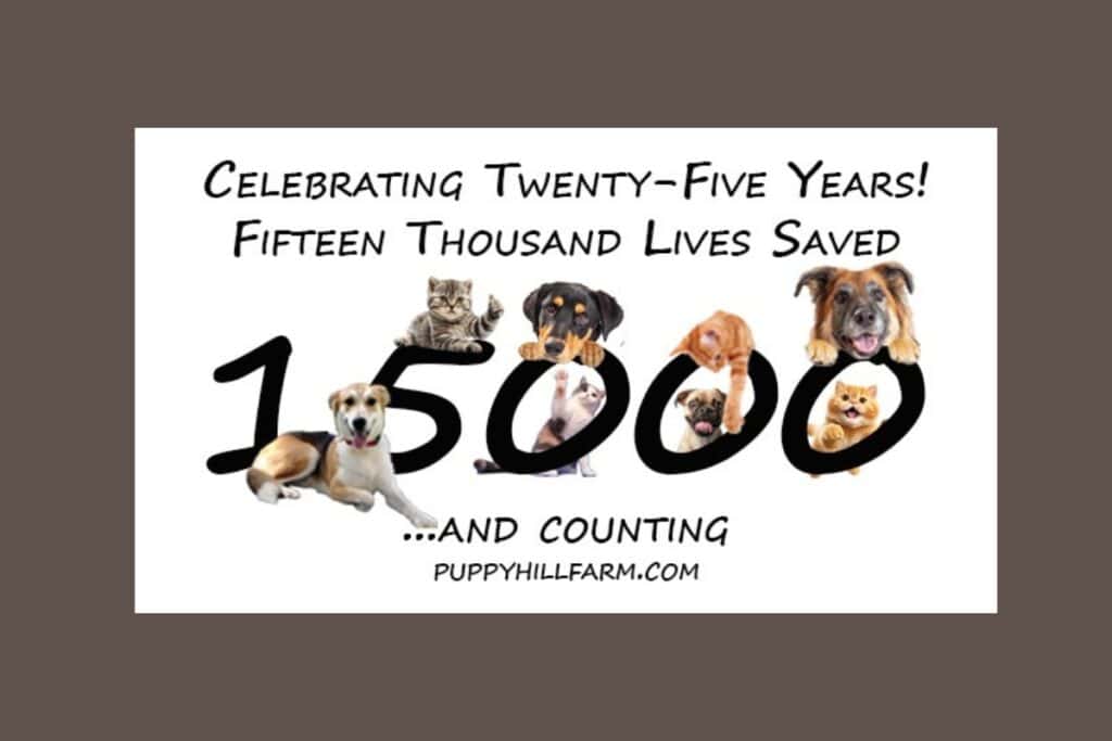 Puppy Hill Farm Rescue will celebrate its 25th anniversary with a gala at First Magnitude Brewing Company on Friday. Courtesy of PHFR