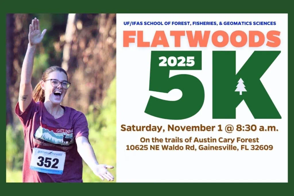 The Annual Flatwoods 5K through the University of Florida’s Austin Cary Forest in Gainesville is slated for Saturday morning. Courtesy UFIFAS
