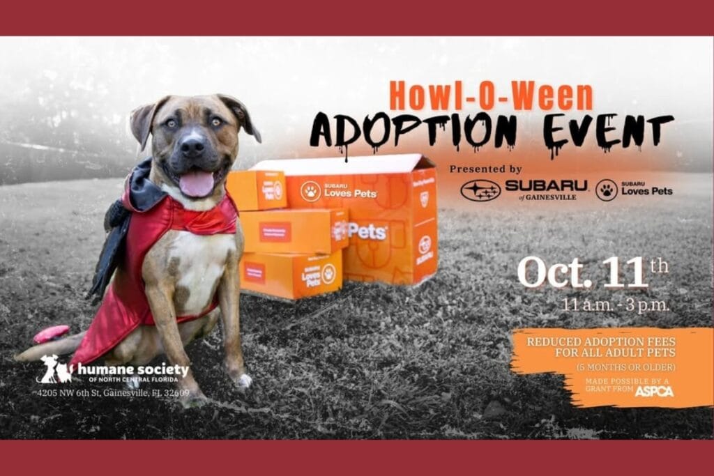 The Humane Society of North Central Florida will host its Howl-O-Ween Adoption Event on Saturday. Courtesy of HSNCF