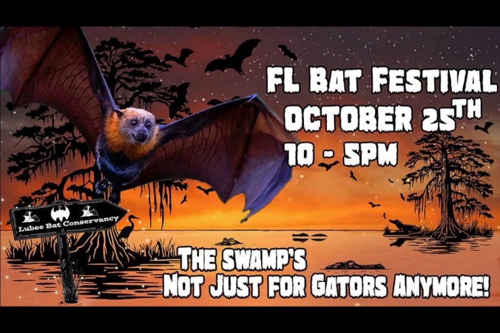 The Lubee Bat Conservancy will host its annual Florida Bat Festival on Saturday. Courtesy of Lube Bat Conservancy