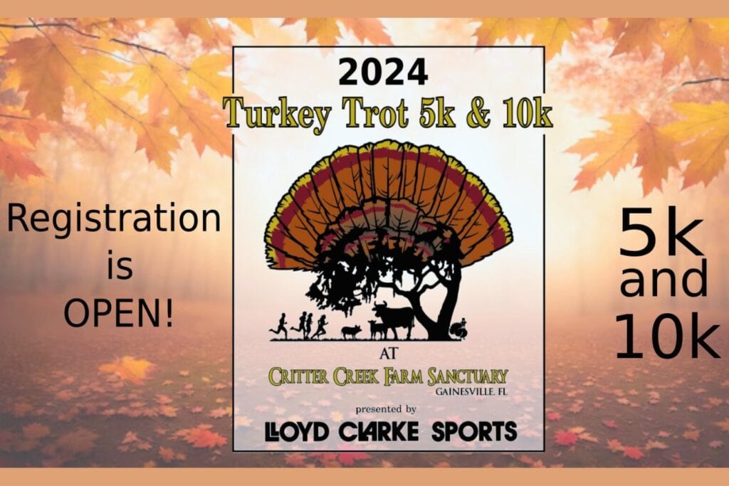 The annual Turkey Trot Trail 5K and 10K will take place on Thursday, Nov. 27, at Critter Creek Animal Sanctuary in Gainesville. Courtesy of CCFS