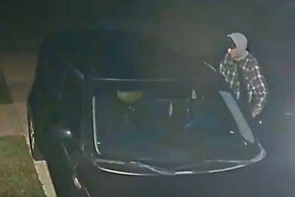 The Alachua Police Department is seeking assistance in identifying a suspect involved in an overnight vehicle burglary on Nov. 8. Courtesy of APD