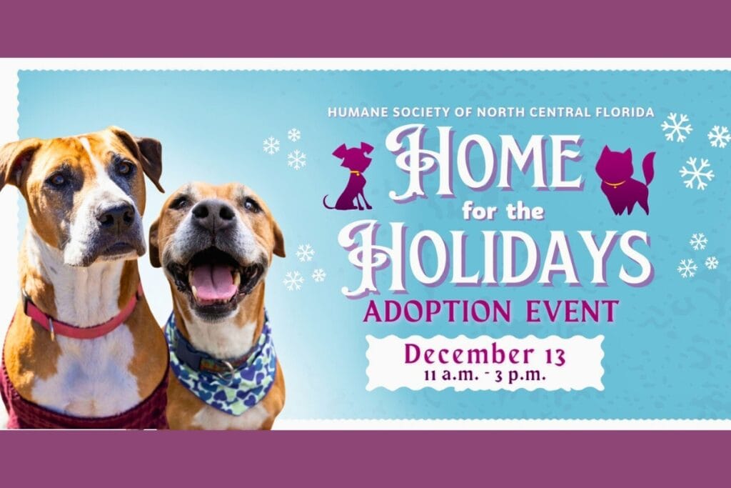 The Humane Society of North Central Florida will host its Home for the Holidays adoption event on Saturday. Courtesy of HSNCF