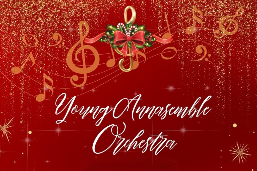The Young Annasemble Orchestra will perform a holiday concert on Dec. 14 in Gainesville. Courtesy of Annasemble Community Orchestra