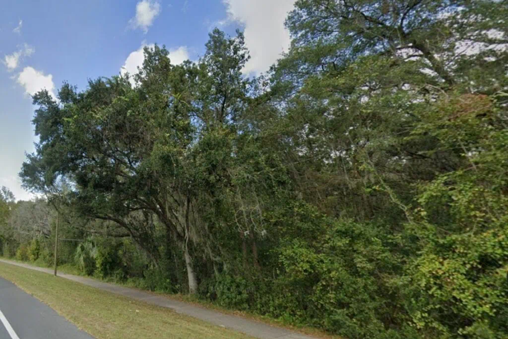 Wooded area along SW 62nd Street.