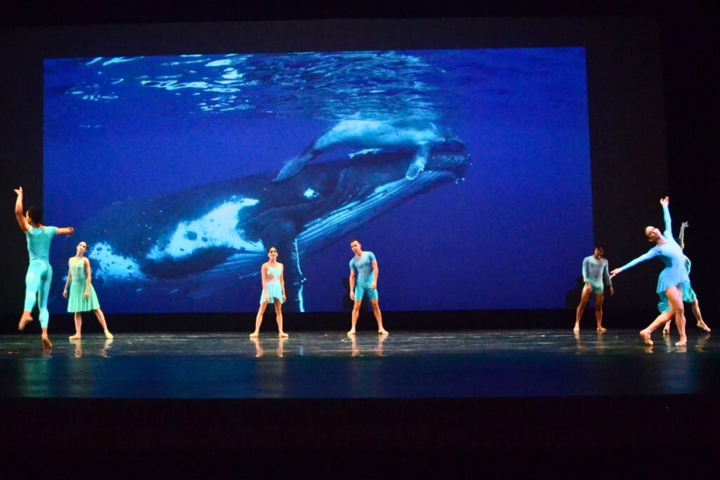 Dance Alive National Ballet and the Gainesville Youth Chorus will perform on Friday at the Ocean Voyage Immersion Concert III. Courtesy of DANB