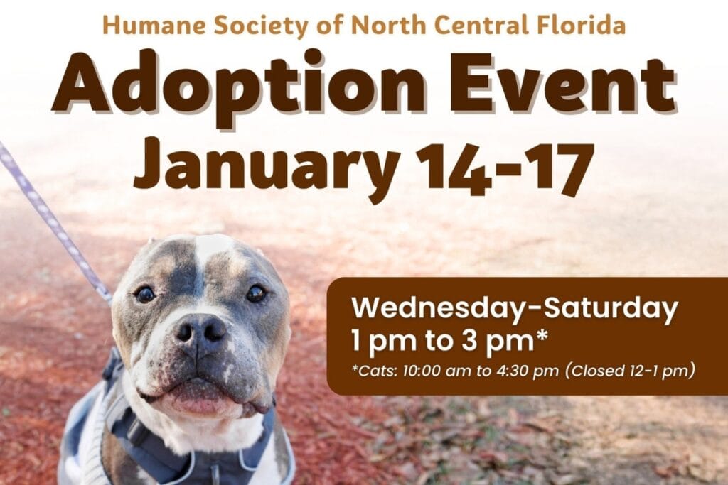 The Humane Society of North Central Florida will host its “New Year, New Best Friend!” adoption event on Wednesday through Saturday. Courtesy of HSNCF. Photo of a dog.