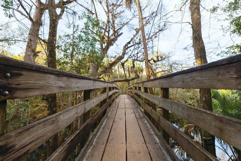 You can walk through a park with trees to help relieve stress. Picture of a bridge under tree canopy.
