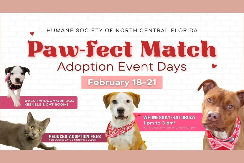 The Humane Society of North Central Florida will host its Paw-fect Match Adoption Event Days on Wednesday through Saturday. Courtesy of HSNCF