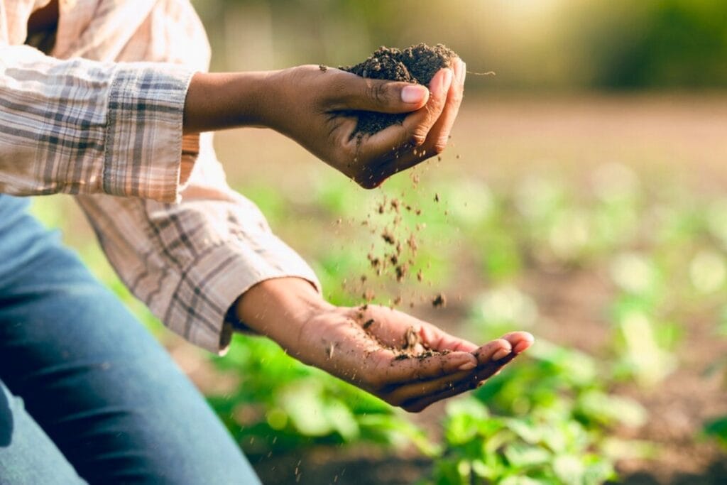 Alachua County will launch Phase II of its Fresh Food Pathways Project Food Hub Feasibility Study. Courtesy of Alachua County