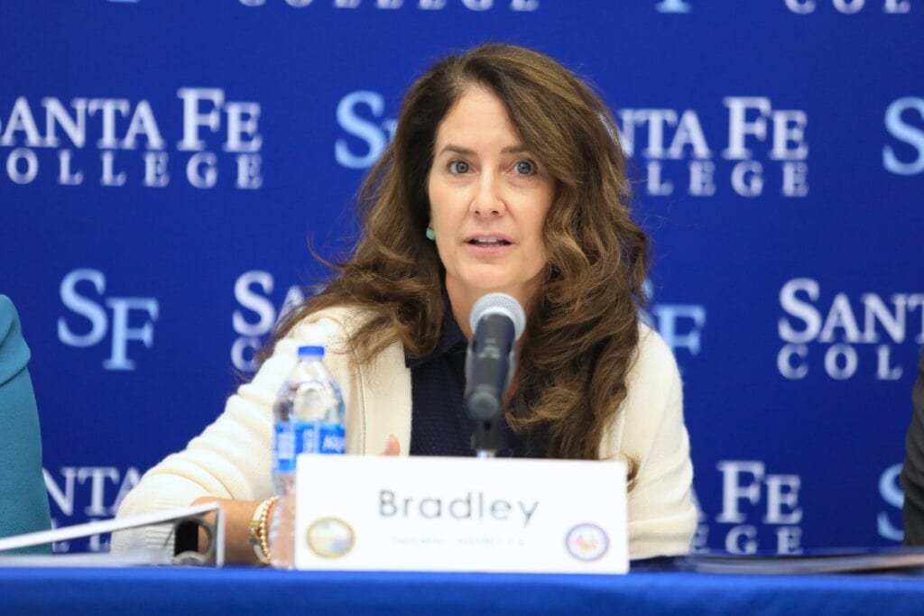 State Sen. Jennifer Bradley speaks at a legislative meeting.