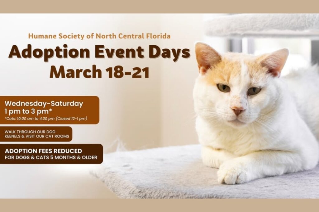 The Humane Society of North Central Florida (HSNCF) will host its Adoption Event Days on Thursday through Saturday. Courtesy of HSNCF