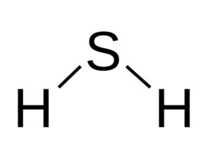 molecole maleodoranti
