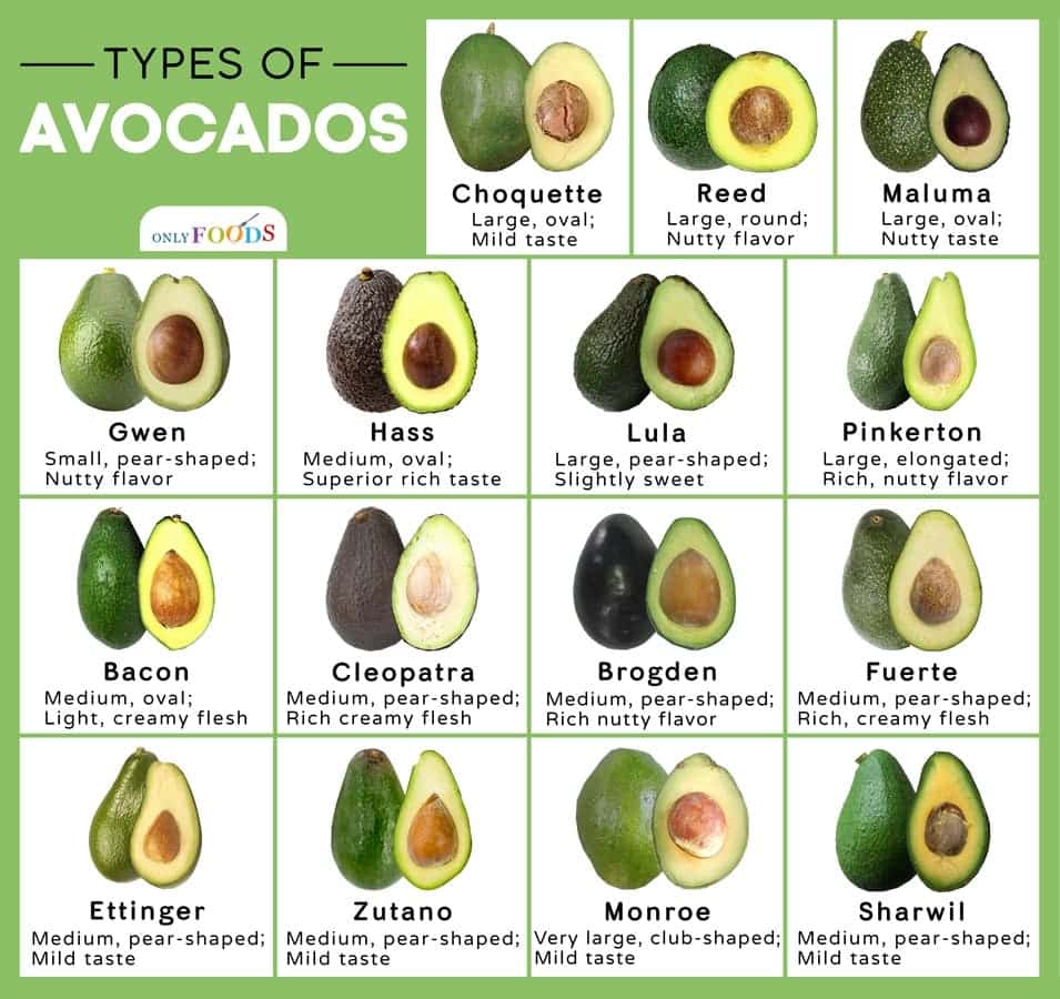 Tipi di avocado cultivar