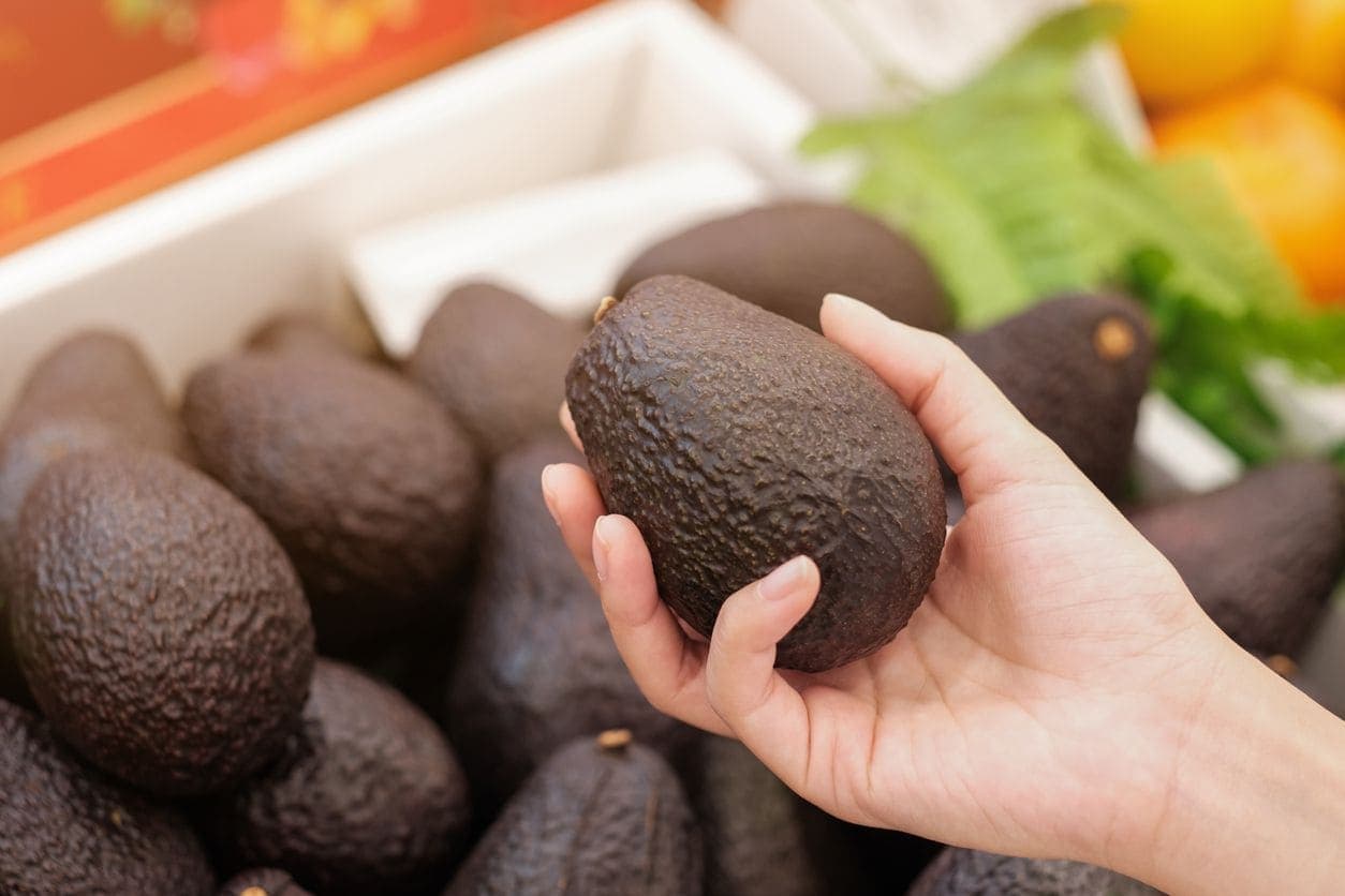 Avocado
