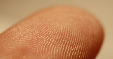 Impronta digitale
