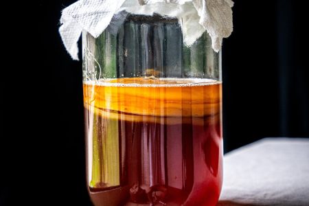 Kombucha selber machen