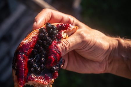 Bauernkrapfen mit Schwarzbeeren