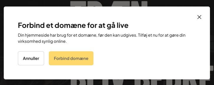 Aida AI forbind domæne