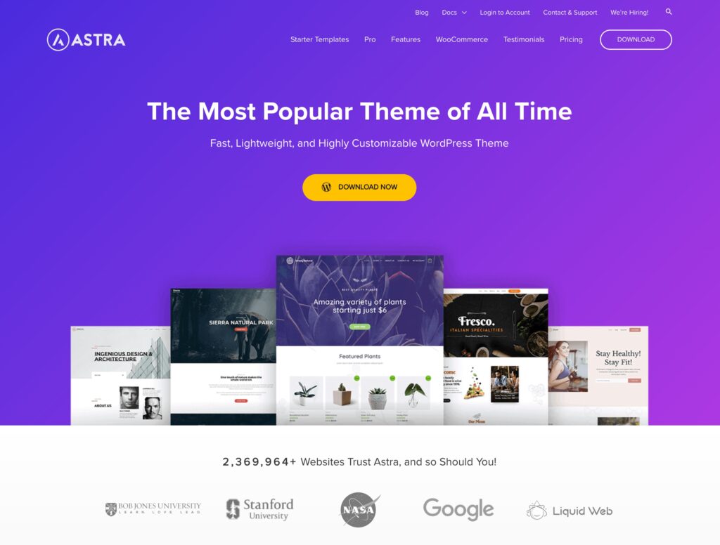 Astra Theme