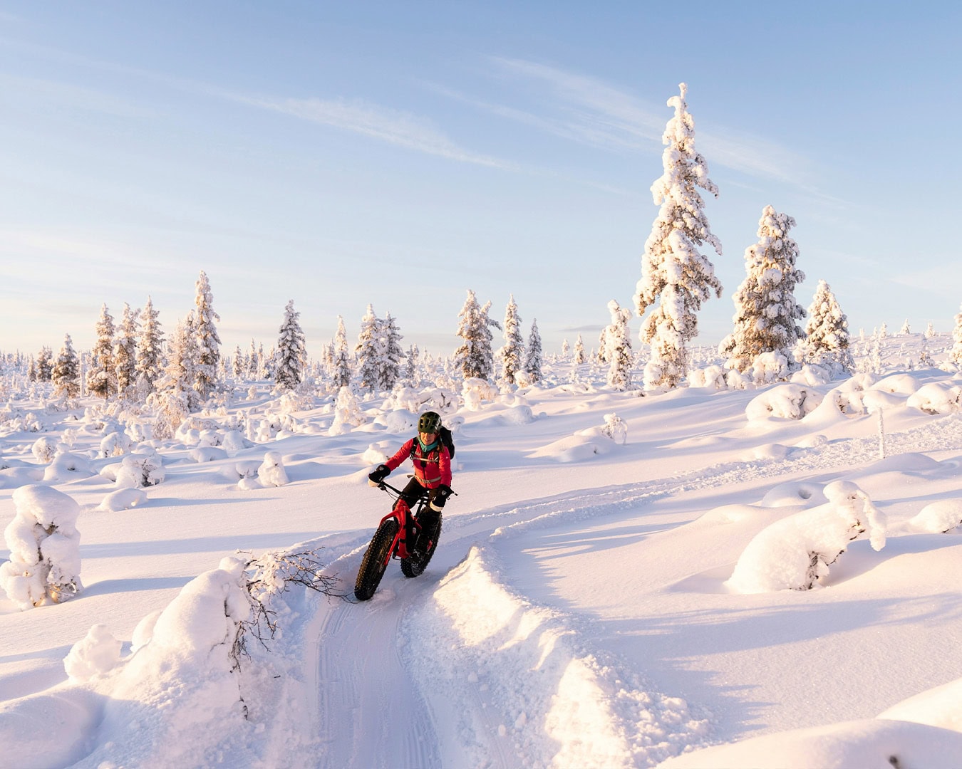 Fatbiking at Saariselkä. Image: Hendrik Morkel/Unsplash
