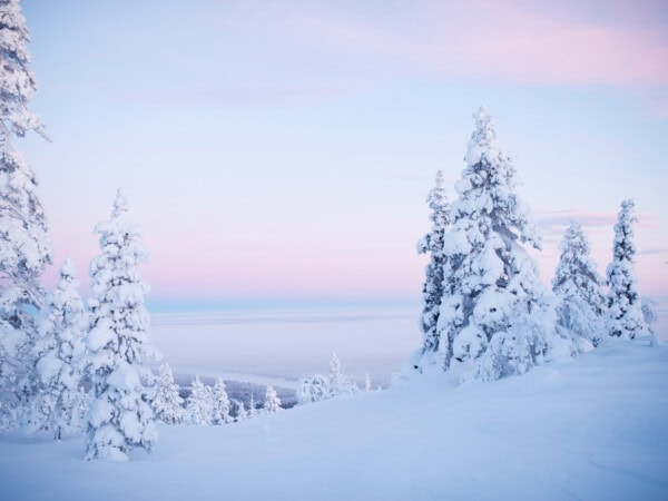 Entdecken Sie Saariselkä – Winterwanderung & Rauchsauna