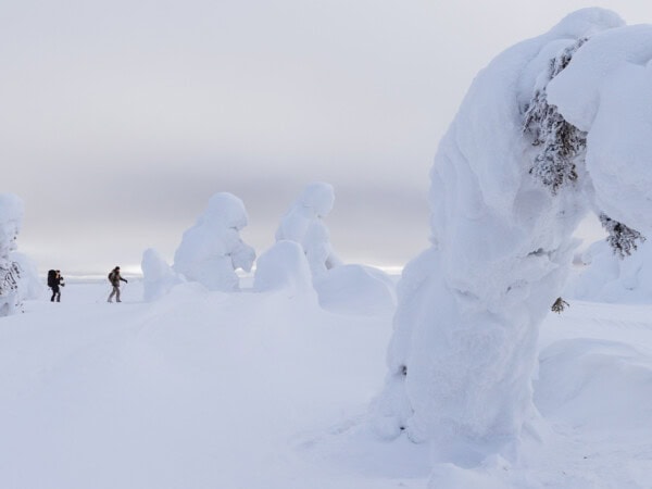 Ski-Expedition zum UKK-Nationalpark