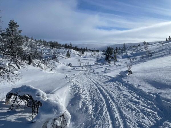 Nordic Backcountry Skitouren im Urho Kekkonen Nationalpark