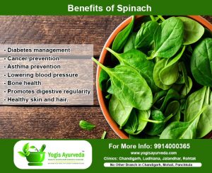 Sex specialist doctor in chandigarh