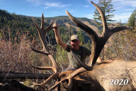 elk