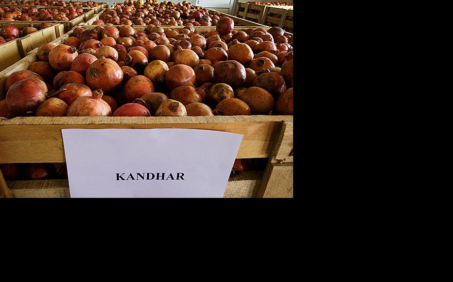 Pomegranates from Kandahar ready for processing at Afghanistan's first juice concentrate factory. Kabul, October 2009. (Photo: Paula Bronstein/Getty Images)