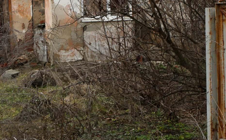 An abandoned house in the outskirts of Avdiivka. The city was subjected to constant heavy shelling between 2014 and 2018. (February 3, 2022)