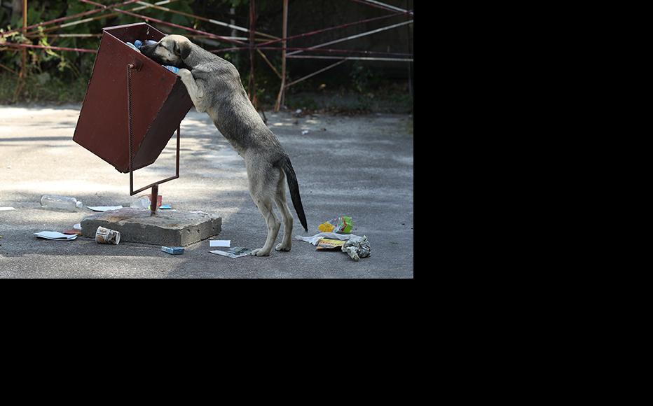 (Photo: Sean Gallup/Getty Images)