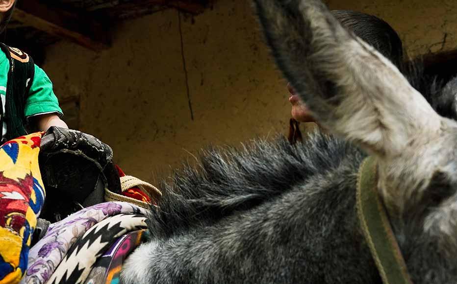 Children learn very early in their life to ride donkeys as the animals are key to life in the village.